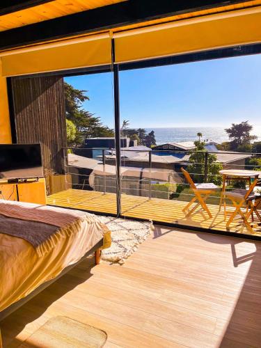 Loft Punta de Lobos