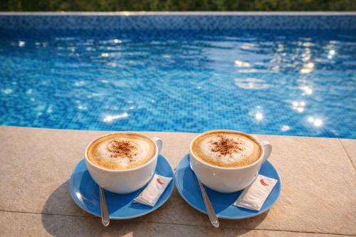 Villa Andy -private yard, swimming pool, panoramic view in Gornji Vinjani