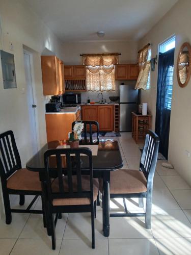 Cozy Suite, Wifi, Ac in Bedroom & 1 Minute Walk to West Coast Beach!, Saint James