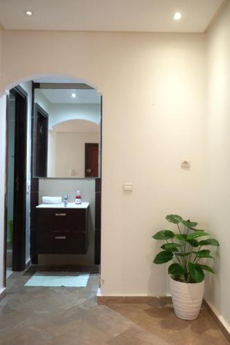 Rue azegza - image 4