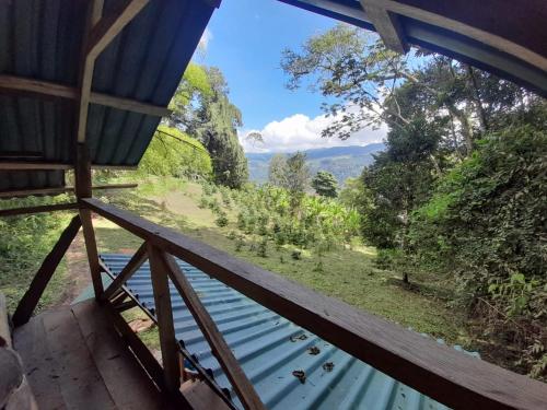 Balcony/terrace, Bosque de Oro in Apia