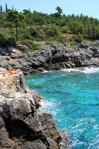 Tuvākā izklaides vieta, Family friendly house with a parking space Popovici, Dubrovnik - 25452 in Popovići