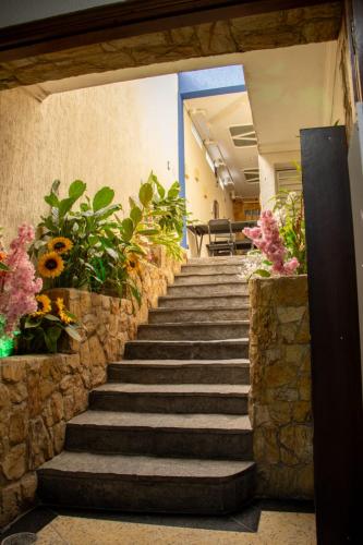 Garden, Pousada Hostheo liberdade in Liberdade