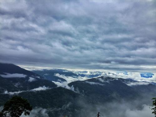 Dafey Homestay in Ghoom Pahar Forest