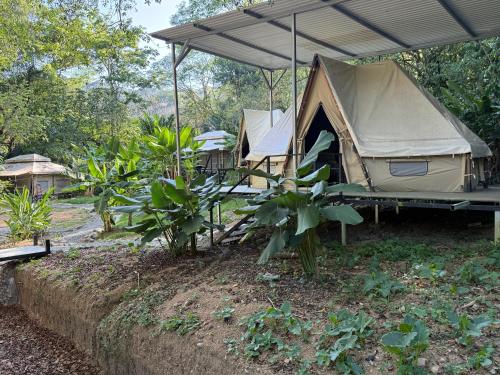 KRITAJNA SAFARi LODGE in Dominical