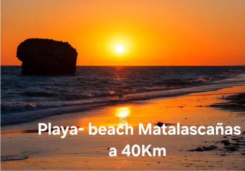 Loft Home Torremirador a 40min Sevilla y Playas de Doñana
