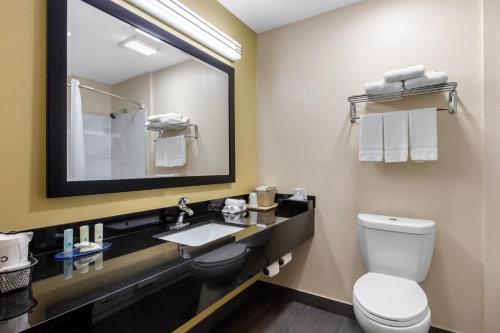 Quality Inn - image 44