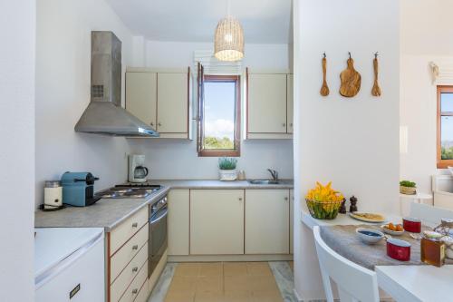 Kitchen, Mikro Livadi Special Lodges - Has an Eco Salt water pool - 150m from the beach in Lappei