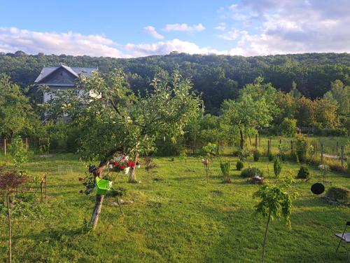 Villa Hincesti in Hinceşti