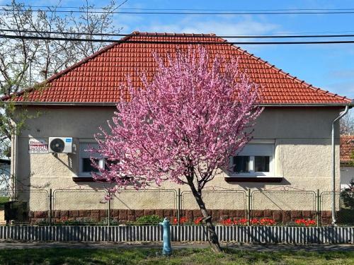 Diána-Vendégház (Diana-Vendeghaz) in โปรอสซโล่
