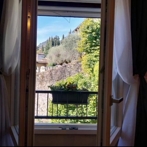 Il limone, Gargnano (fotografie 5)