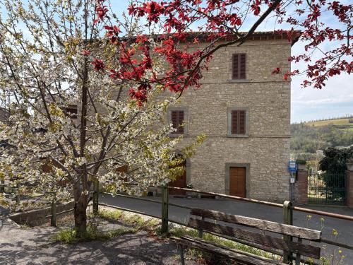 Il Palazzo del Borgo - Affittacamere in Camerata