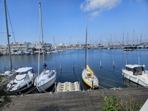 Marina T2 et cabine Port-Camargue, piscine et vue mer