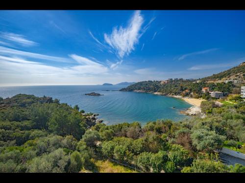 Seaside Stories in Toska