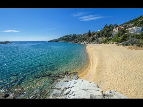 Seaside Stories in Toska