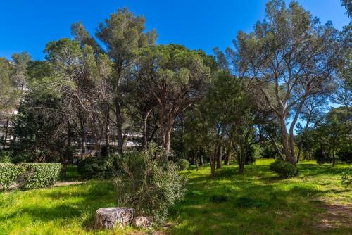 Surrounding environment, Panorama Majestic in Vallon de Coste