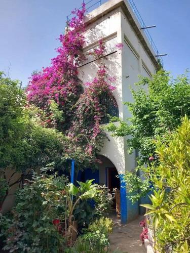Le jardin d'habiba in Beni Mellal