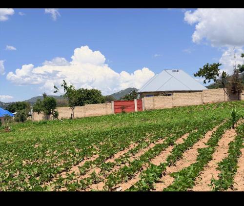 Venadel homes in Iringa