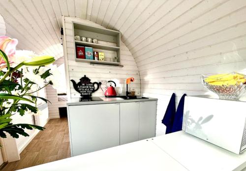 IgluPod near Sligo in Ballyfarnon