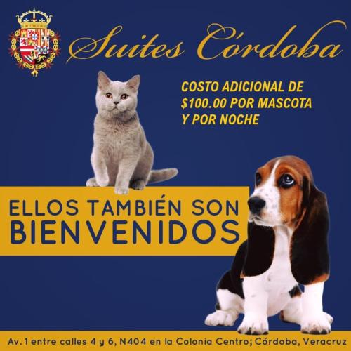 Hotel Suites Córdoba in Córdoba, Mexico