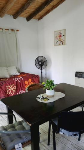 Cabaña Colonia Las Rosas -Tunuyan