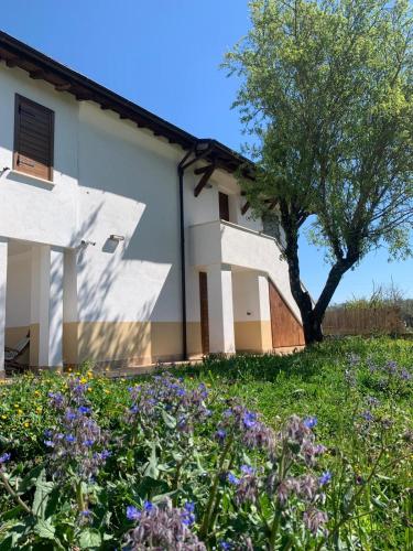 Domus Antonii gîte à louer Corchiano