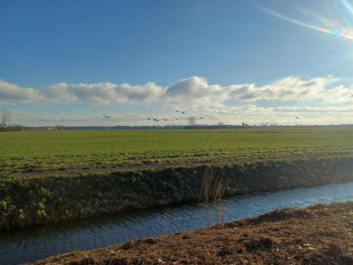 Iekārtas, Ferienwohnung im Natur- und Sternenpark Westhavelland in Seeblick