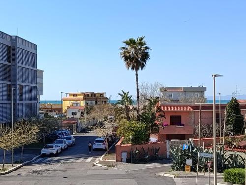 B&B Purple Italy 5