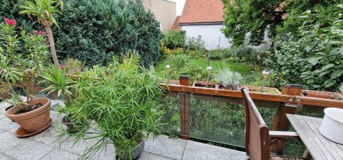 Jardín, Gästezimmer mit eigenem Bad und Balkon im Herzen von Langen - nahe FFM (Gastezimmer mit eigenem Bad und Balkon im Herzen von Langen - nahe FFM) in Langen (Hessen)