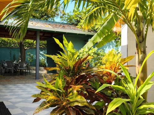 Garden, The Sandscape Fuvahmulah in Gnaviyani Atoll