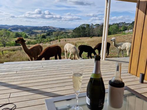 Skats, HavenRidge Alpaca Glamping Cabins in Kaiwaka