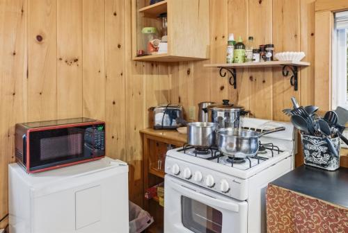 Davis Outpost Pet-Friendly Quiet Cabin w AC Screened Sunroom Walk to Trails in Otter Creek
