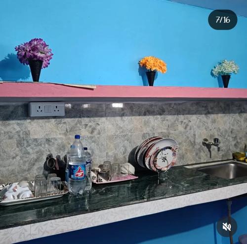 Harender nayal homestay in Nainital