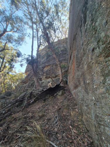 Blue Mountains Glamping Retreat in Sofala