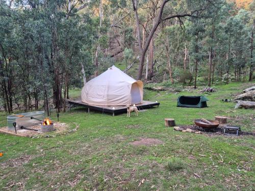 Blue Mountains Glamping Retreat in Sofala