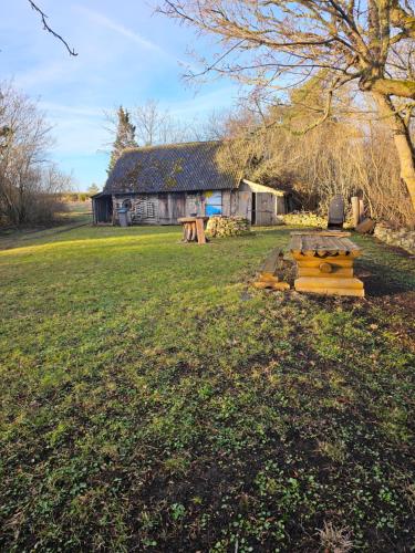 Pitsinina Log House in Tehumardi