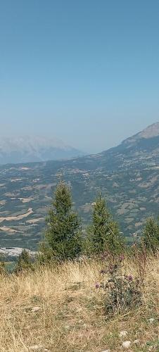 Les Serintes