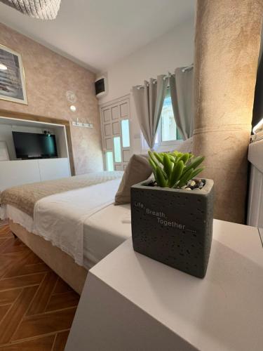 Apartment Milica