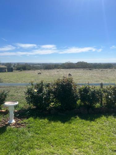 Campaspe Valley View 20 acres Farm Stay in Metcalfe