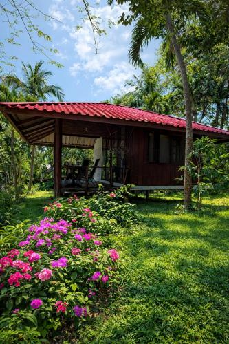 Pankabay Resort - 숙소 외관