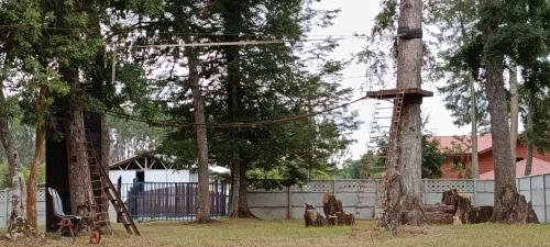 Domo cudico espacio natural in San José de Mariquina