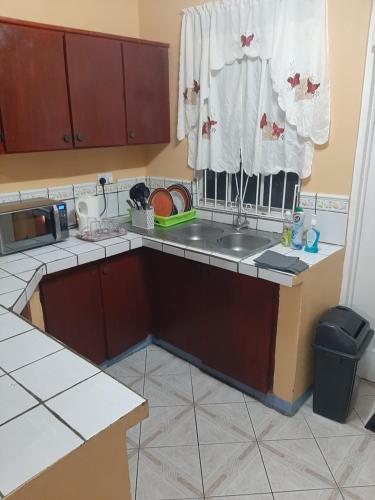 Miramar Goodwill Apartment - image 4