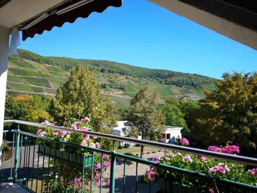 Appart-pension-schier - Zell (Mosel)