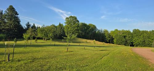 Black River Lodge - image 44