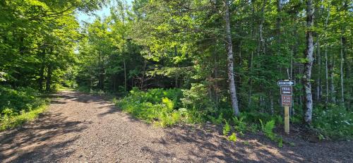 Black River Lodge - image 27