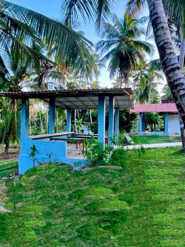 Airport Coconut Villas Free Oneway Airport Pick Drop in Dunagaha