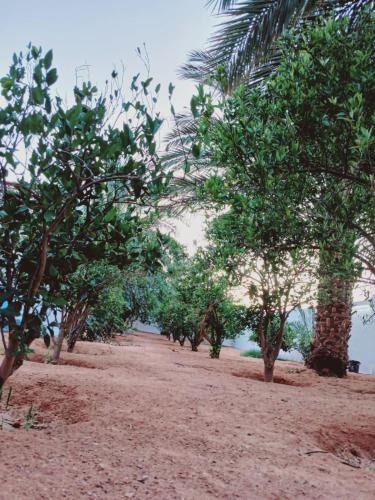 Maison authentique in Ghardaia
