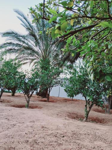 Maison authentique in Ghardaia