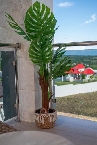 Villa Sol del Caribe Luxury Relaxation - image 2