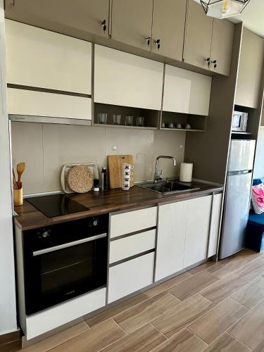 Shengjin Premium Apartments in 薩克斯